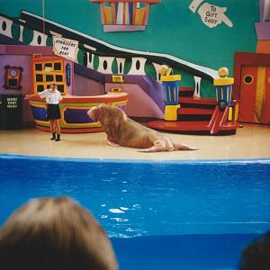 Sea Lion Stadium - c. 1999-2000