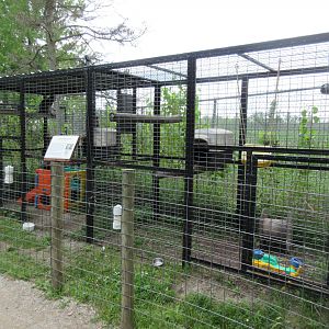 Crab-eating Macaque Exhibit