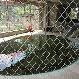 North American River Otter Exhibit