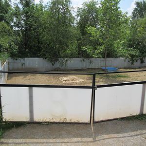 Sulcata Tortoise Exhibit
