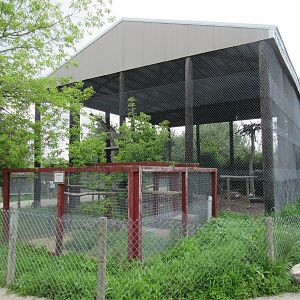 Giant Aviary (3 Species)