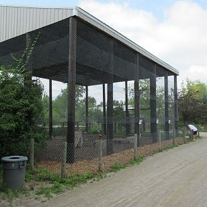 Giant Aviary (3 Species)