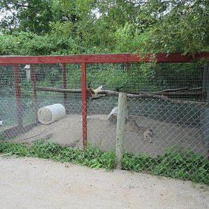 Mara Exhibit