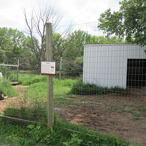Ostrich Exhibit