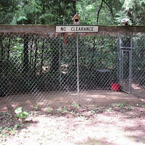 Striped Skunk Exhibit (totally barren)