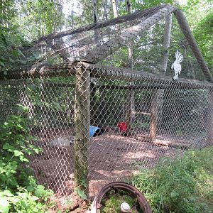 American Badger Exhibit