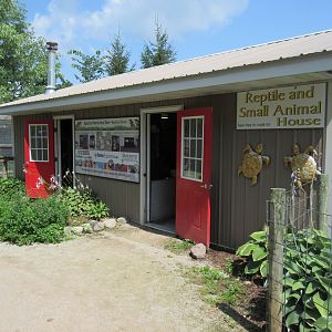 Reptile + Small Animal House