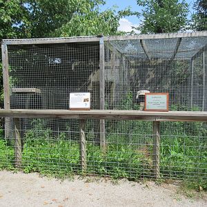 Geoffrey's Cat Exhibit