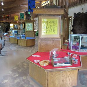 Nature Center - Main Room