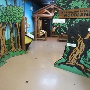 Woodland Building - Entrance Area