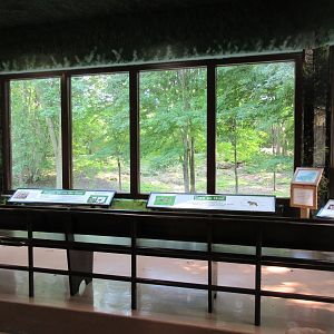 1-Acre Grey Wolf Exhibit