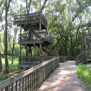 White-tailed Deer/Sandhill Crane/Wild Turkey Exhibit