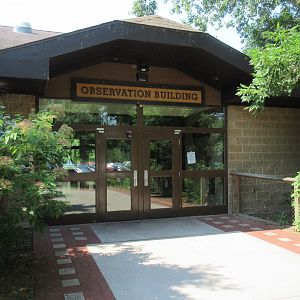 Observation Building (small animals)