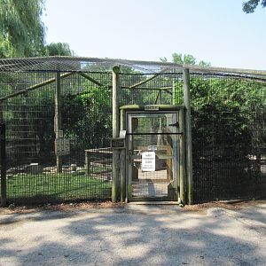 Waterfowl Aviary