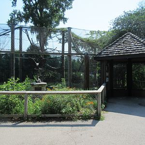 Bald Eagle Exhibit
