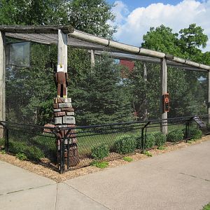 Bald Eagle/Rough-legged Hawk Exhibit
