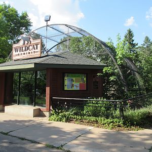 Wildcat Exhibit (either Bobcat or Canada Lynx)