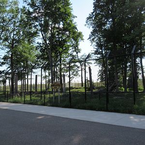 $1.3 Million Kodiak Bear Exhibit (New in 2015)