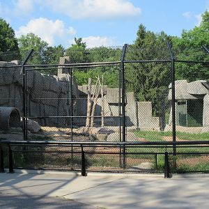 $1.3 Million Kodiak Bear Exhibit (New in 2015)