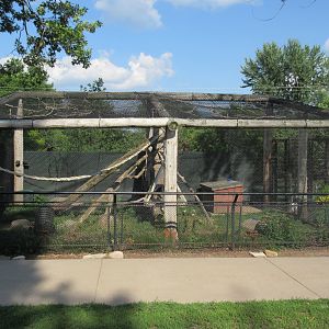 Arctic Fox/Gray Fox Exhibit