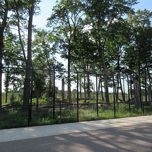 $1.3 Million Kodiak Bear Exhibit (New in 2015)