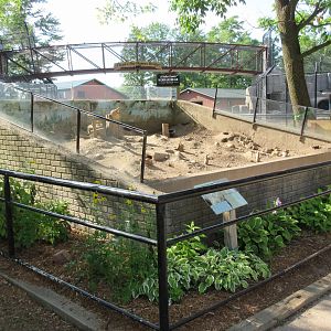 Black-tailed Prairie Dog Exhibit