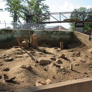 Black-tailed Prairie Dog Exhibit