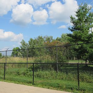 Sandhill Crane Exhibit