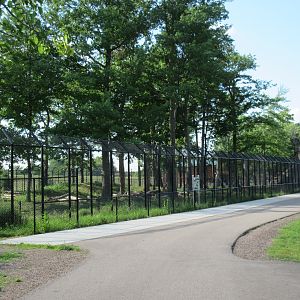 $1.3 Million Kodiak Bear Exhibit (New in 2015)