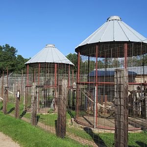 Crab-eating Macaque + Japanese Macaque Exhibits