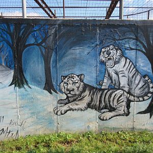 White Tiger Mural