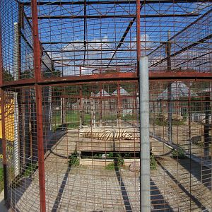 White Tiger Exhibit (barren and tiny)