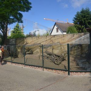 Bat-eared Fox Enclosure at Beauval, 12/06/18
