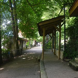 General View at Beauval, 12/06/18