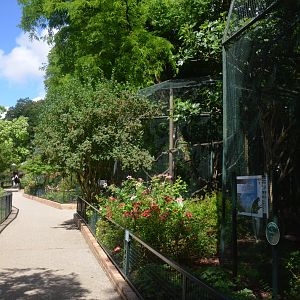 Guenon Enclosures at Beauval, 12/06/18