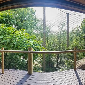 Jul. 2018 - Eagle Eyrie - Steller's Sea Eagle Hut Viewing (No Longer Open Fronted)