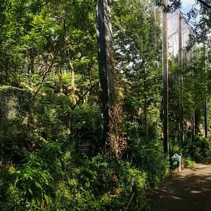 Jul. 2018 - Eagle Eyrie - Steller's Sea Eagle + Andean Condor Exhibits (Bottom View)