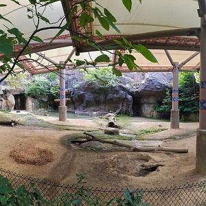 Jul. 2018 - Wildlife Canyon - Capybara Exhibit (Panorama) (Former Sumatran Rhino Exhibit)