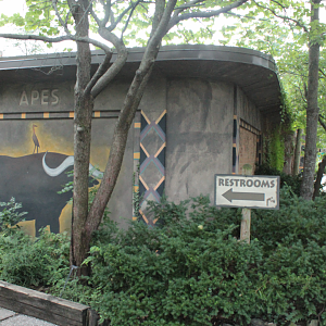Jul. 2018 - Former Entrance to the Ape House (New 4-D Theater)