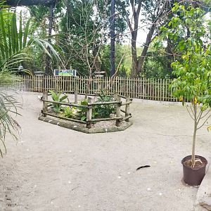 Jul. 2018 - Free Flight Aviary (Newly Re-opened) (11 Species)