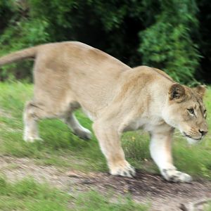 Jul. 2018 - Africa - On the Run