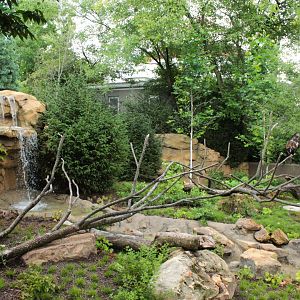 Jul. 2018 - New! Bald Eagle Exhibit