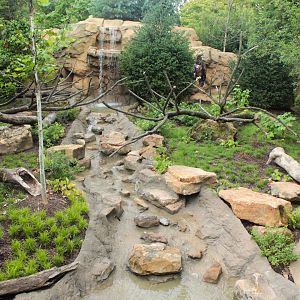 Jul. 2018 - New! Bald Eagle Exhibit