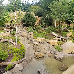 Jul. 2018 - New! Bald Eagle Exhibit Panorama