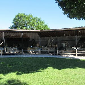 Bird of Prey Aviaries