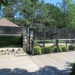 North American River Otter Exhibit