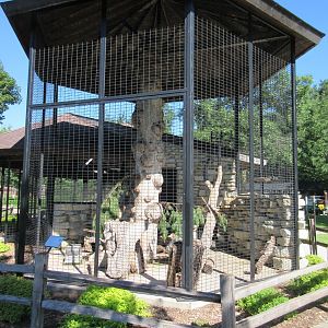 North American Porcupine Exhibit