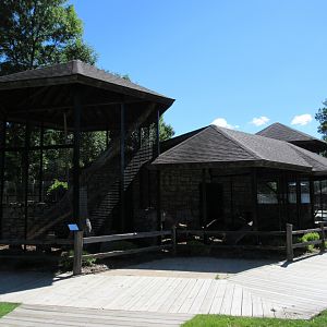 Small Mammals: Fisher/Grey Fox/Red Fox/Porcupine Exhibits