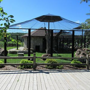 Cat Complex: Canada Lynx Exhibit