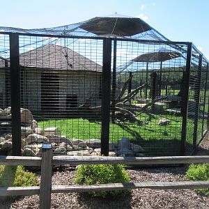 Cat Complex: Bobcat Exhibit